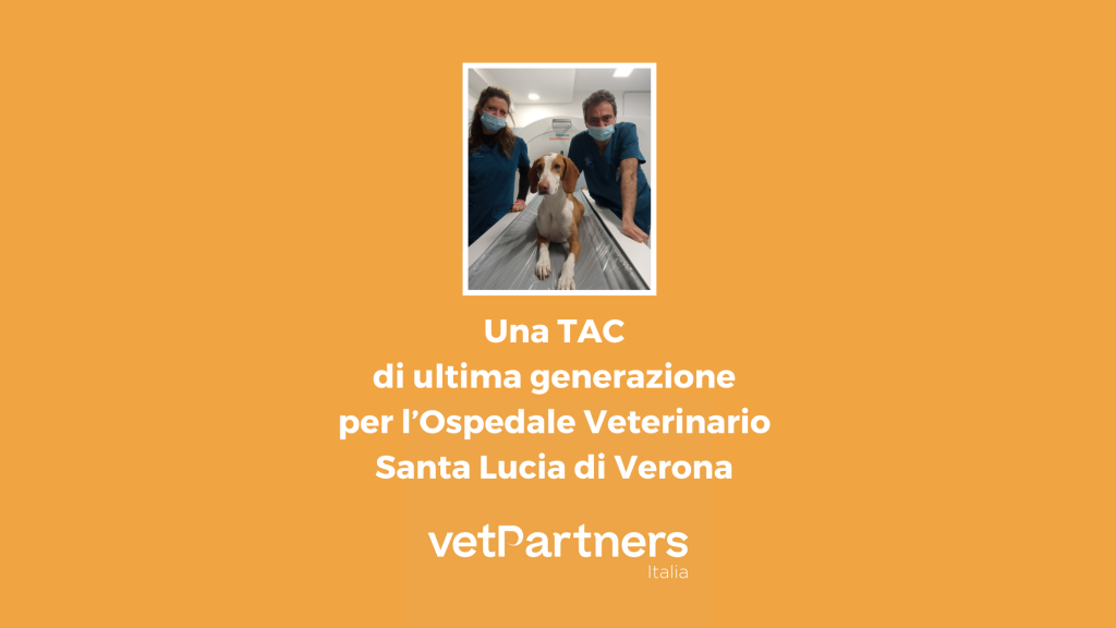 athesis verona veterinario