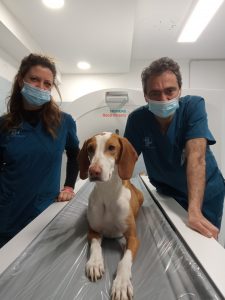 TAC veterinaria Santa Lucia Lucia Verona con cane e due veterinari