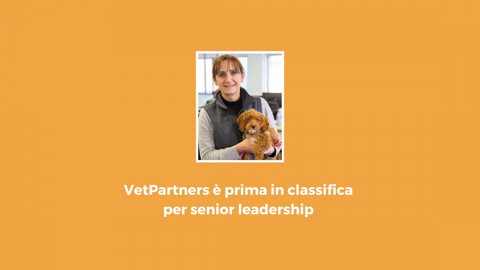 VetPartners è prima in classifica per senior leadership