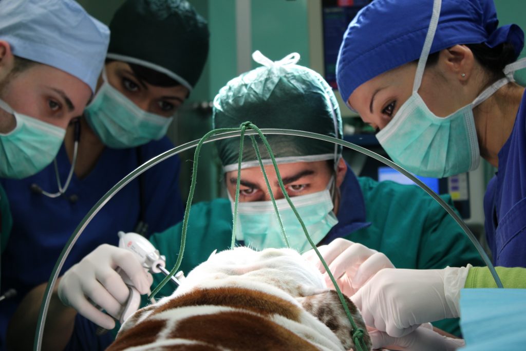 Chirurgia mini invasiva