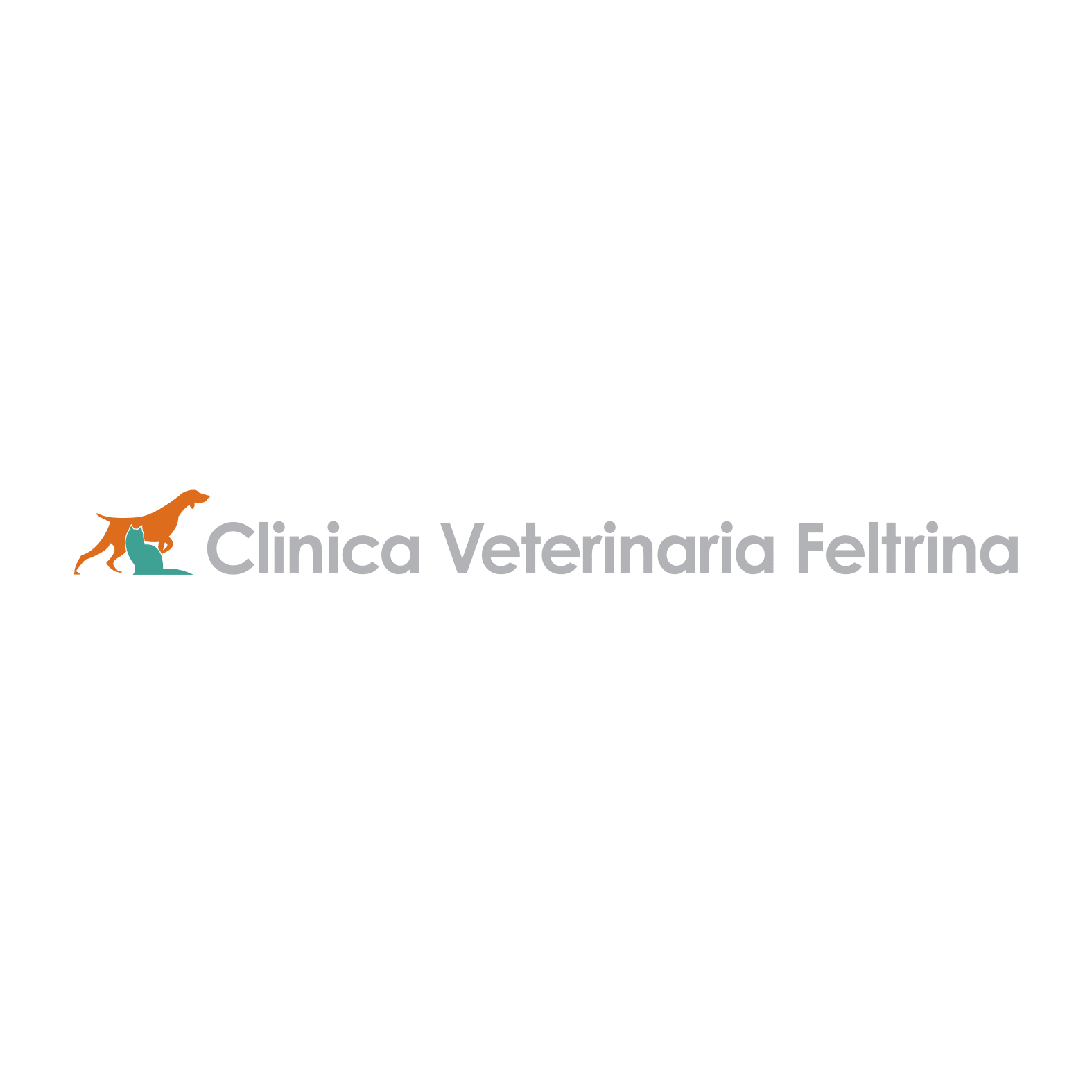 Clinica Veterinaria Feltrina