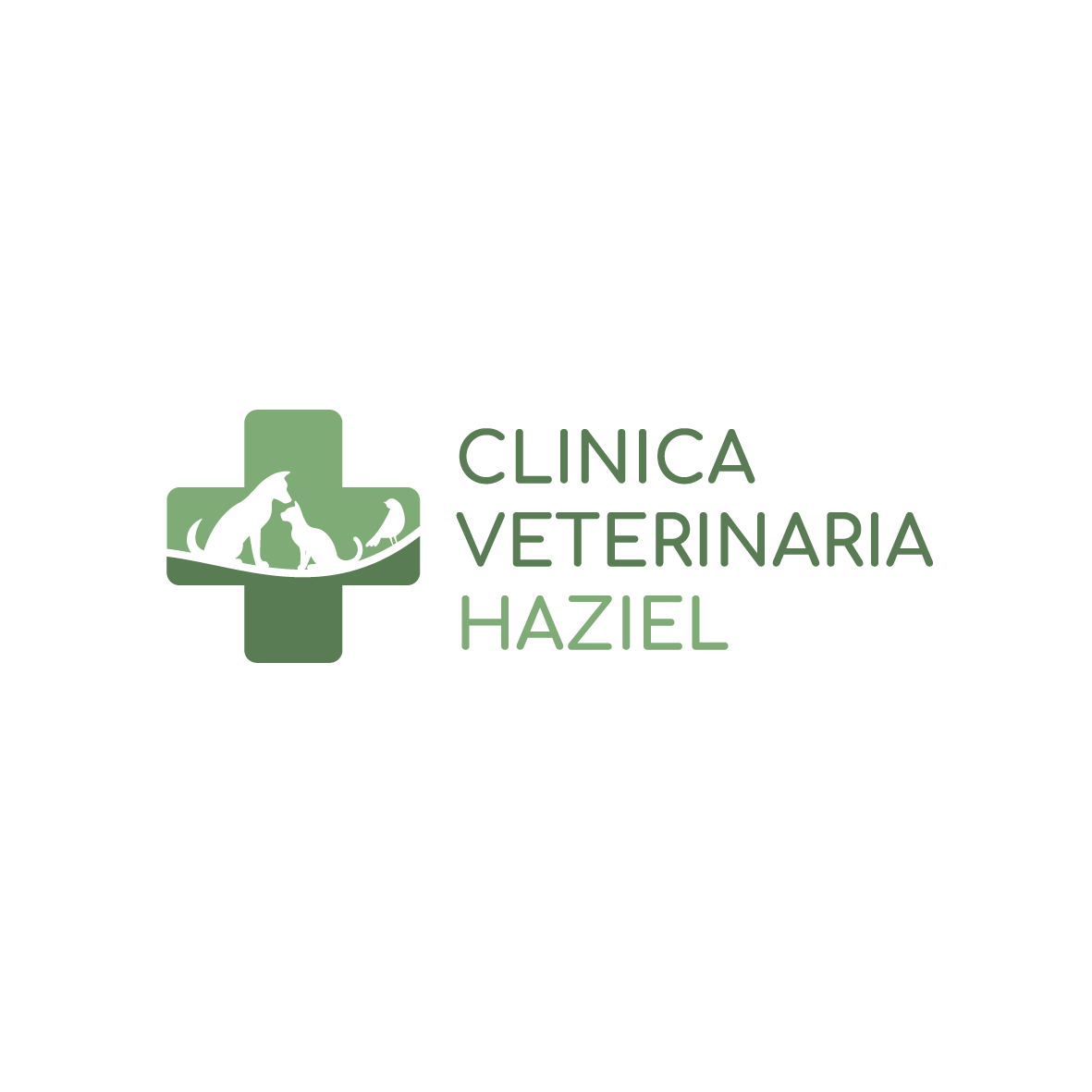 Clinica Veterinaria Haziel