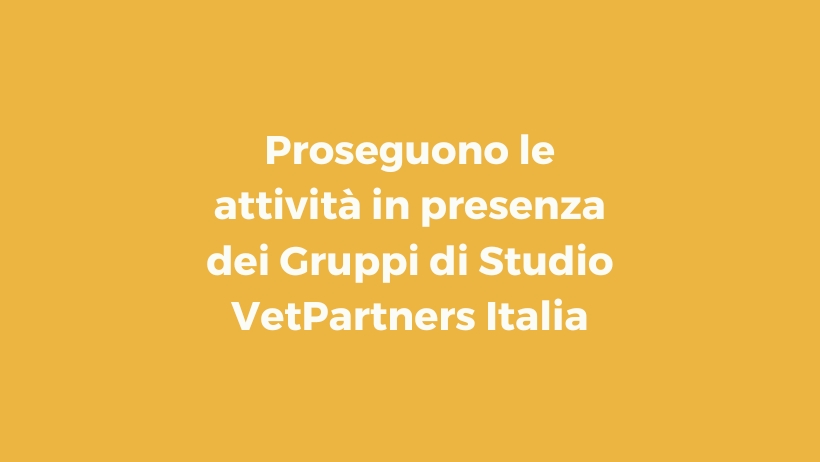 4 incontri in presenza in 1 mese: proseguono le attività dei Gruppi di Studio VetPartners Italia