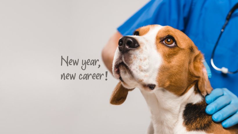 New year, new career!