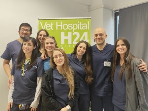 giovani veterinari al VetHopsital H24 Firenze