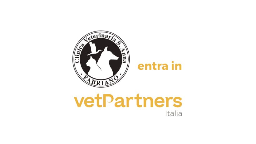 La Clinica Veterinaria Sant’Anna entra in VetPartners Italia: è la prima nelle Marche!