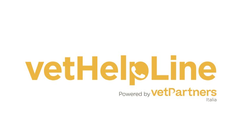 Torna VetHelpline: il servizio psicologico gratuito di ascolto per i team delle cliniche veterinarie