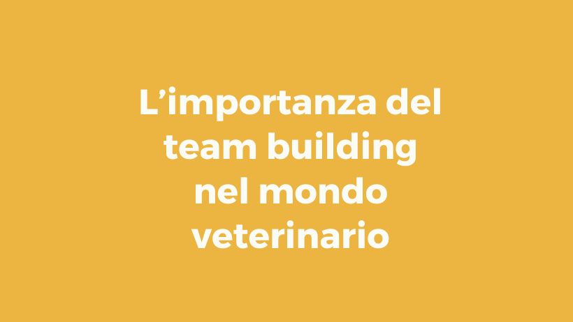 Pillole di wellbeing: l’importanza del team building nel mondo veterinario