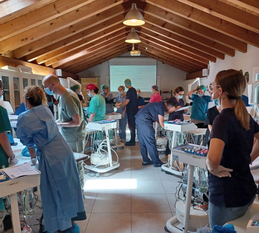 Un weekend di formazione odontostomatologica per le cliniche VetPartners del Nord Italia