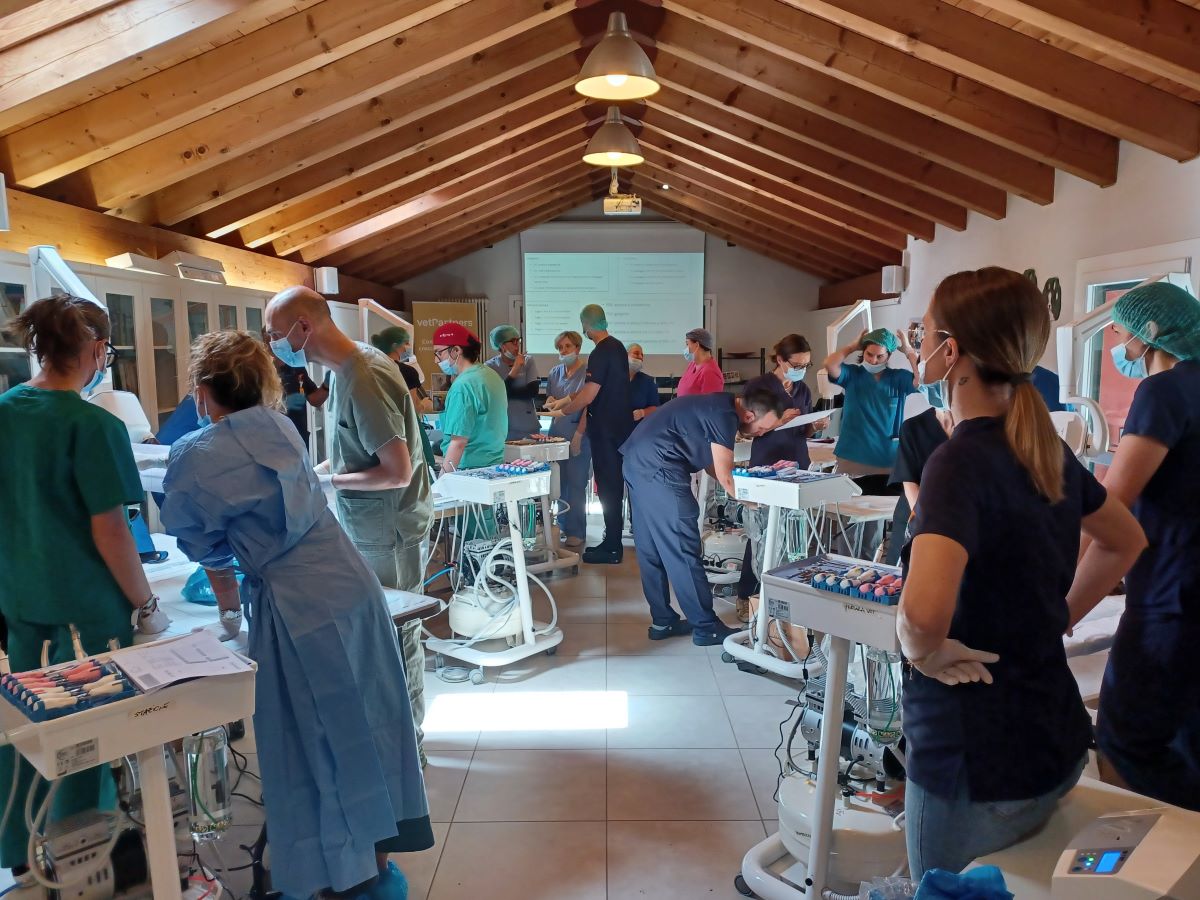 Un weekend di formazione odontostomatologica per le cliniche VetPartners del Nord Italia