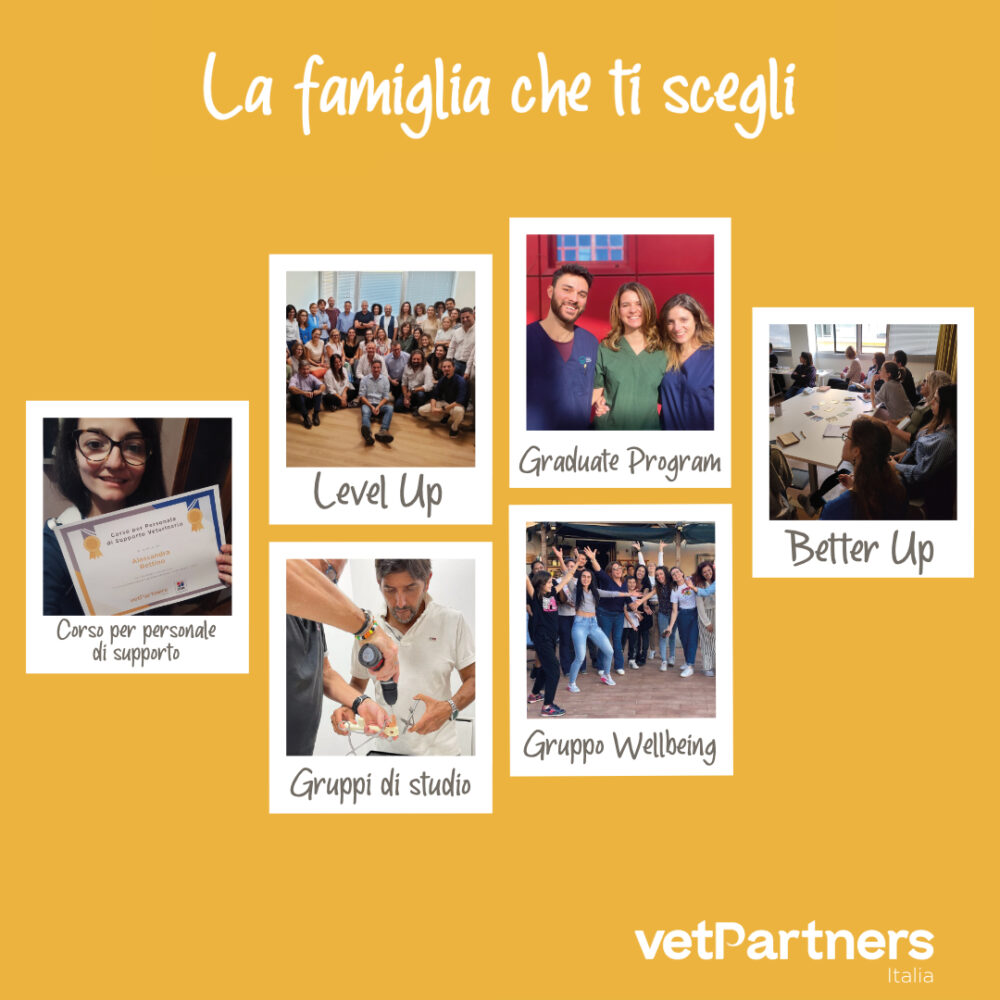 VetPartners Italia. La famiglia che ti scegli, la realtà con cui cresci.
