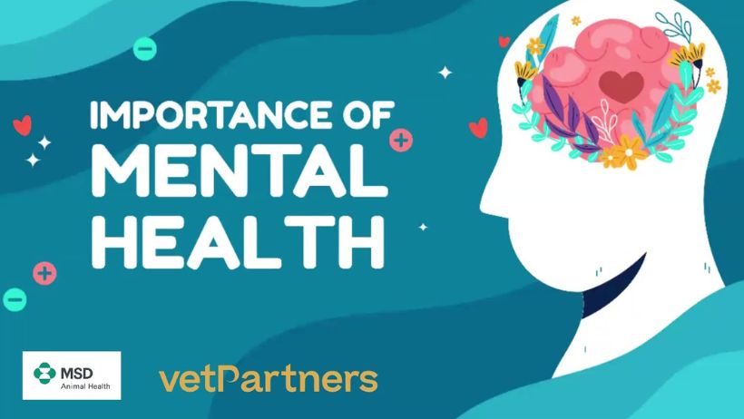Mental Awareness Week: perché la salute mentale in ambito veterinario è importante