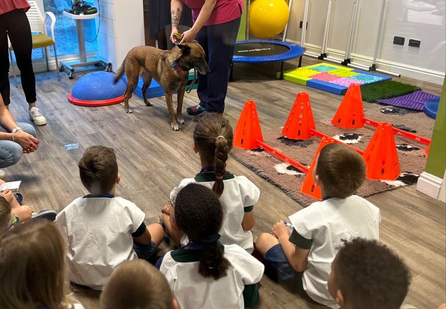 I bimbi veterinari per un giorno: l’iniziativa dell’Ospedale degli Animali di Ferrara