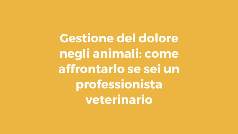 Pillole di wellbeing: gestione del dolore negli animali