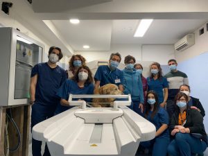 team veterinario Ospedale Santa Lucia Verona con cane e TAC veterinaria
